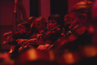 Tampere Filharmonian viulisteja